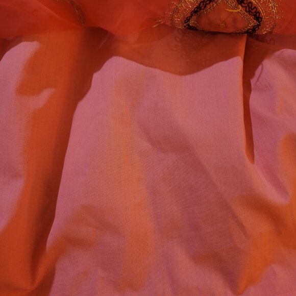 Pashak Rajputi Lehenga (Long Skirt) & Kurti (Top) -Hand Beaded- Ethnic- Stitched - Picture 12 of 12